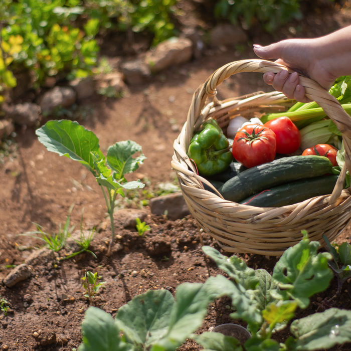 Gardening with Essential Oils