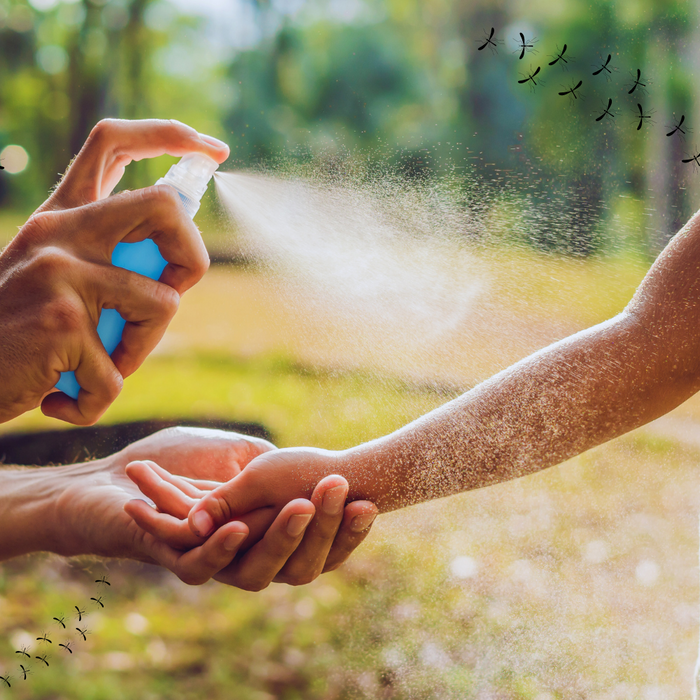 Top 8 Essential Oils for Bug Repellent & Bug Bite Aftercare